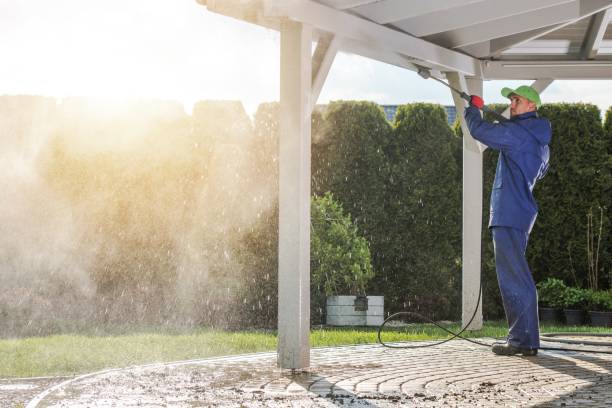 Best Soft Washing  in Country Clu, CA